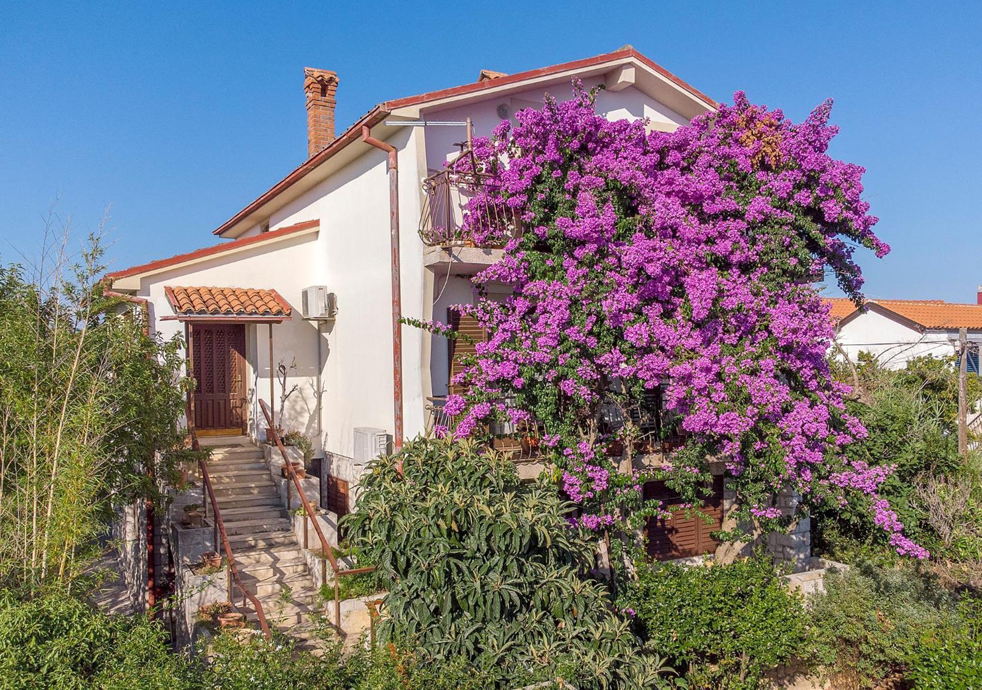Fredi Apartament *