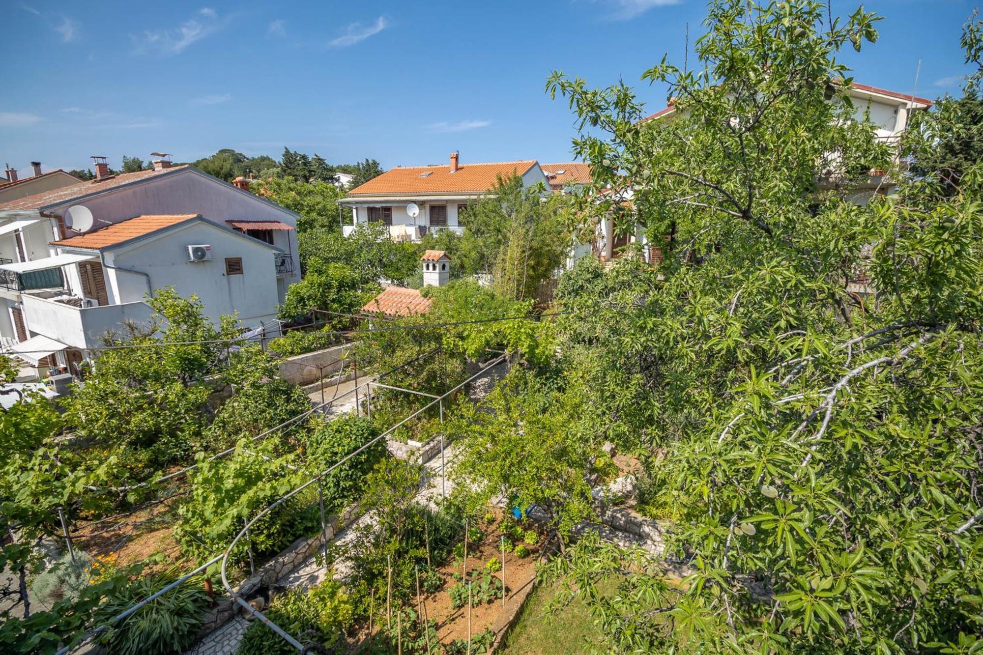 Apartmán Fredi *